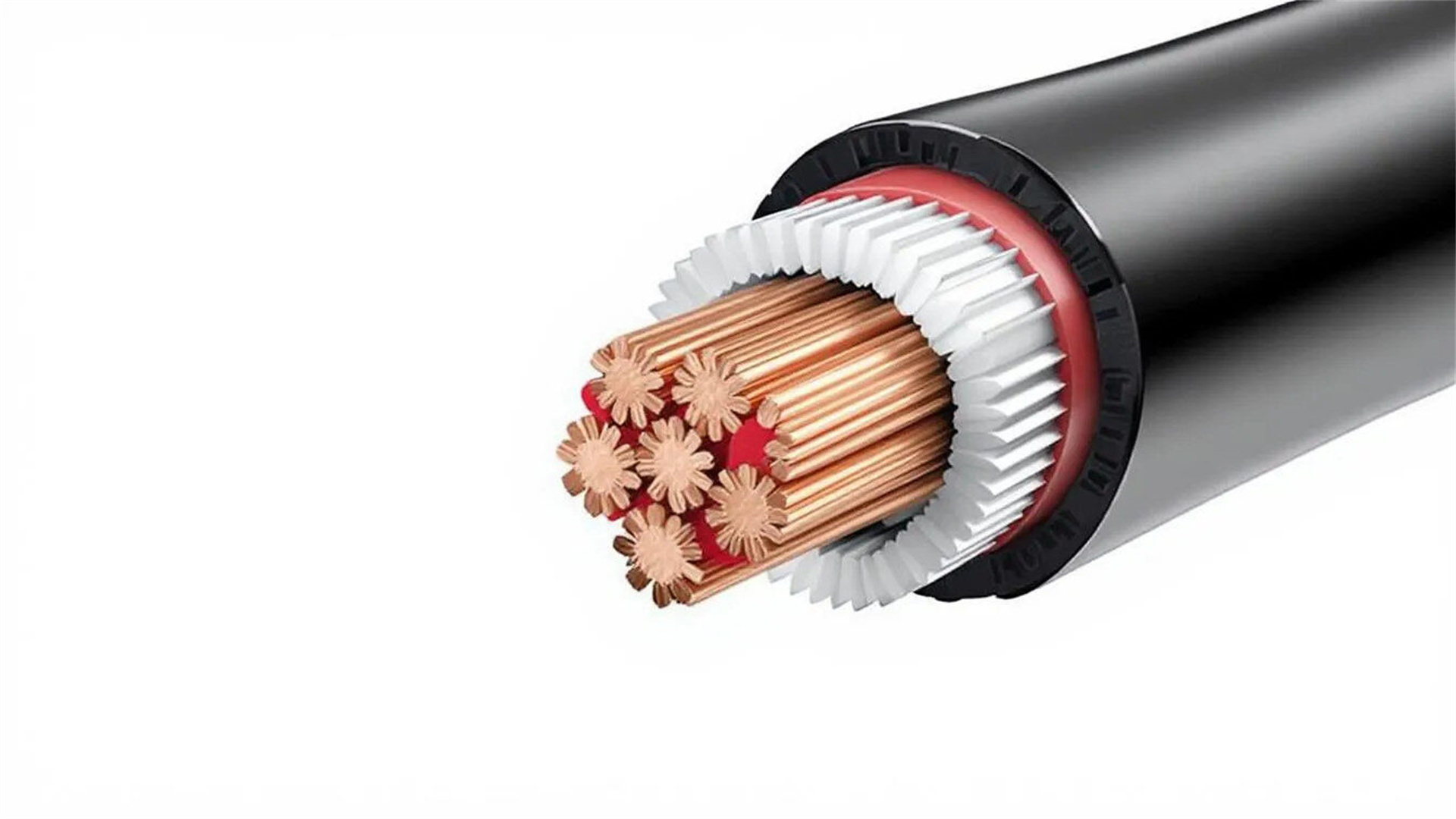 Boost Your Safety Awareness: An Electrical Safety Quiz