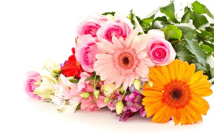 How Much Do You Know About Flowers And Plants?